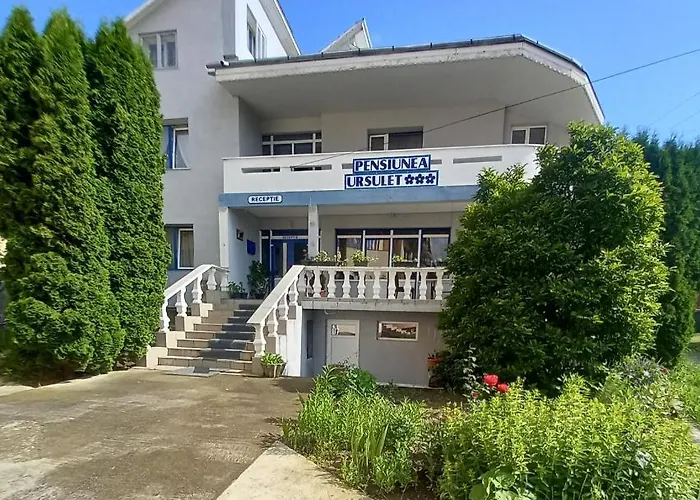 Pensiunea Ursulet Piatra Neamţ